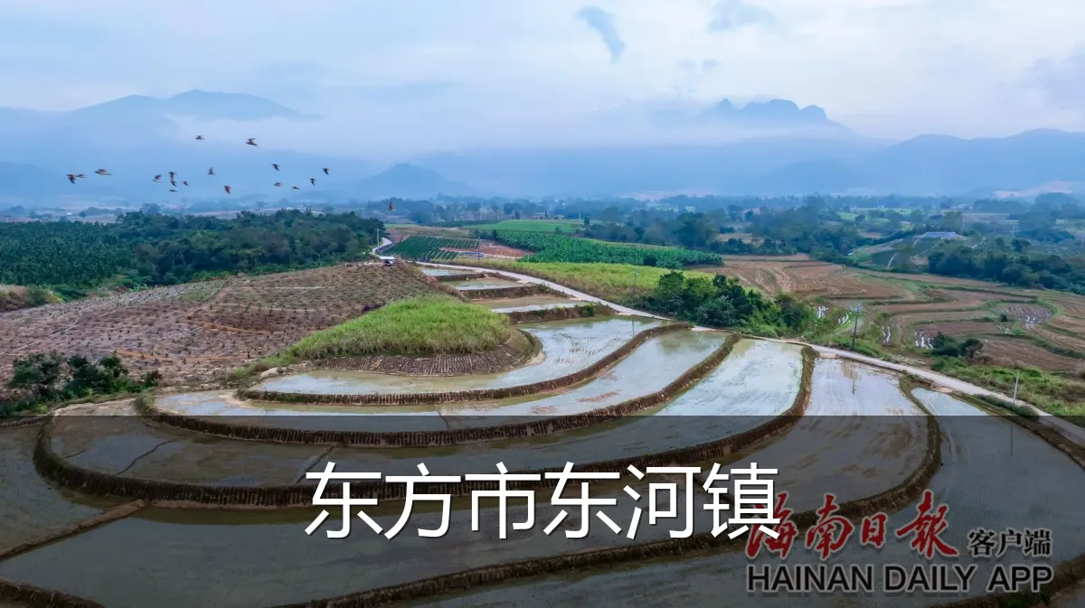 东方市东河镇